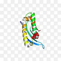 剪贴画鞋身首饰.OCU邮票-空若网 剪贴画鞋身首饰.OCU邮票-空若网