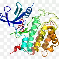 剪贴画有机体线动物-空若网 剪贴画有机体线动物-空若网