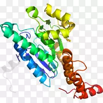 剪贴画有机体线身首饰-空若网 剪贴画有机体线身首饰-空若网