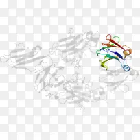 �廭������/m/02csf�߻�-������