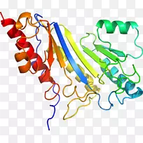 剪贴画线点生物动物免疫球蛋白m-空若网 剪贴画线点生物动物免疫球蛋白m-空若网
