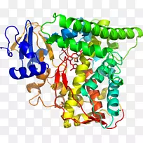 png图片剪贴画人体珠宝人体-空若网 png图片剪贴画人体珠宝人体-空若网