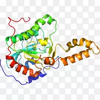 ���������pngͼƬ�޼�׵���������������m-����-������