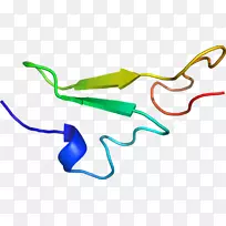 ��Ʒ����߼�������-������