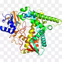 剪贴画有机体线身首饰.苯甲酰胺-空若网 剪贴画有机体线身首饰.苯甲酰胺-空若网