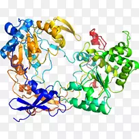 剪贴画有机体线体首饰.辅助活化剂-空若网 剪贴画有机体线体首饰.辅助活化剂-空若网