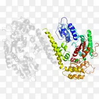 插画艺术有机体人类行为产品-Loligo-空若网 插画艺术有机体人类行为产品-Loligo-空若网
