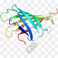 ��Ʒ��Ƽ������ߵ���ù��-������