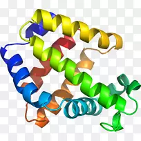 人体珠宝剪贴画线-珠-空若网 人体珠宝剪贴画线-珠-空若网