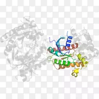 ��Ʒ��Ʋ�ͼ��������-������