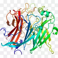 �������廭�ߵ��Ʒ-������