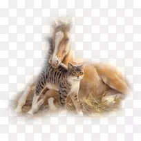 图像马中心博客png图片.马-空若网 图像马中心博客png图片.马-空若网