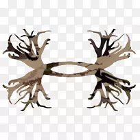 在盔甲下贴上鹿角贴纸-空若网 在盔甲下贴上鹿角贴纸-空若网