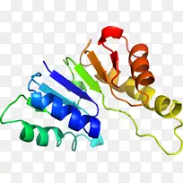 剪贴画产品设计有机体线-空若网 剪贴画产品设计有机体线-空若网