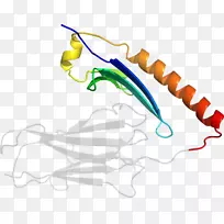 剪贴画线点有机体-空若网 剪贴画线点有机体-空若网