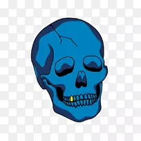 剪贴画,头骨,下巴,电蓝-空若网 剪贴画,头骨,下巴,电蓝-空若网