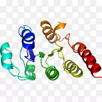 剪贴画产品设计有机体线-空若网 剪贴画产品设计有机体线-空若网