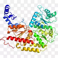 剪贴画有机体线身首饰-空若网 剪贴画有机体线身首饰-空若网