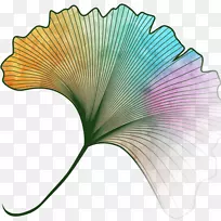 美国中西部叶植物茎春季清洁开花植物-空若网 美国中西部叶植物茎春季清洁开花植物-空若网