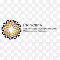 石溪大学印度技术学院孟买标志计算机科学-普林斯顿评论-空若网 石溪大学印度技术学院孟买标志计算机科学-普林斯顿评论-空若网