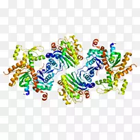 wasf 2µ°°×Bruton¡®sÀÒ°±Ëἤø°åÖ¬¼¡¶¯µ°°×-¿ÕÈôÍø wasf 2µ°°×Bruton¡®sÀÒ°±Ëἤø°åÖ¬¼¡¶¯µ°°×-¿ÕÈôÍø