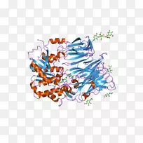 �廭�����ߵ��л���-������