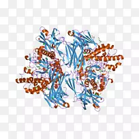 �廭�������ߵ�-������