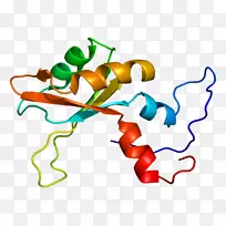 剪贴画有机体线动物-空若网 剪贴画有机体线动物-空若网