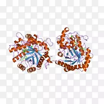 珠宝艺术字体橙色S.A。-珠宝-空若网 珠宝艺术字体橙色S.A。-珠宝-空若网