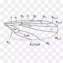 产品设计-Dessi cuppa-空若网 产品设计-Dessi cuppa-空若网