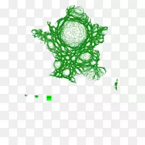 叶产品开花植物-叶-空若网 叶产品开花植物-叶-空若网