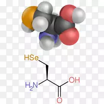 氨基酸胺羧酸官能团-空若网 氨基酸胺羧酸官能团-空若网