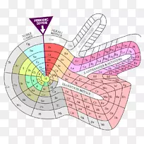 可选周期表化学元素化学表-空若网 可选周期表化学元素化学表-空若网