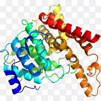剪贴画有机体线身首饰-空若网 剪贴画有机体线身首饰-空若网