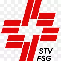 STV集团标志电视图-空若网 STV集团标志电视图-空若网