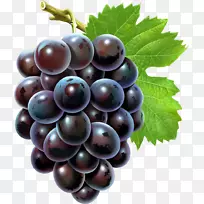 葡萄籽提取物android葡萄籽油-葡萄-空若网 葡萄籽提取物android葡萄籽油-葡萄-空若网