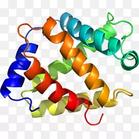 剪贴画线身首饰橙色S.A。-珠蛋白-空若网 剪贴画线身首饰橙色S.A。-珠蛋白-空若网