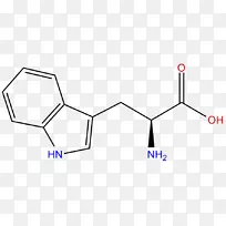 色氨酸氨基酸5-羟色胺酪氨酸-空若网 色氨酸氨基酸5-羟色胺酪氨酸-空若网