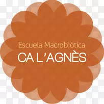 标志字体品牌产品设计-AgNES-空若网 标志字体品牌产品设计-AgNES-空若网