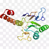 剪贴画有机体线身首饰-伯克利儿童剪裁-空若网 剪贴画有机体线身首饰-伯克利儿童剪裁-空若网