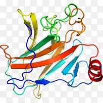 ��������ƽ����Ƶ��Ʒ-������