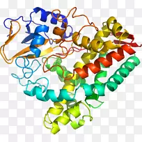剪贴画有机体线身首饰-空若网 剪贴画有机体线身首饰-空若网