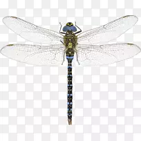 �����ۻ����ҵ����ѣ��Ϸ�С����ǳ��ɫС��-������