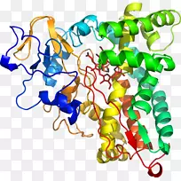 �������л�����������-������