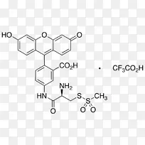 染料荧光团化学荧光素-空若网 染料荧光团化学荧光素-空若网