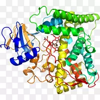 �������л�����������-������