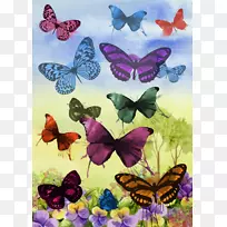 ����ˮ�ʻ�����ˮ�ʻ�����-������