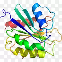 �������ߵ��л����鱦-������