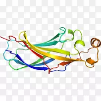 剪贴画线点植物茎-空若网 剪贴画线点植物茎-空若网