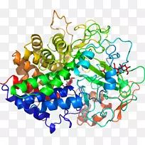 剪贴画有机体线身珠宝-空若网 剪贴画有机体线身珠宝-空若网